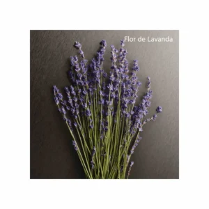 Eternity Aromatic Essence Parfum Intense - Image 4