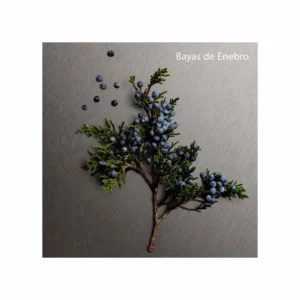 Eternity Men Aromatic Essence Parfum Intense - Image 2