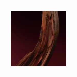 Boss The Scent Elixir for him Parfum Intense - Image 9