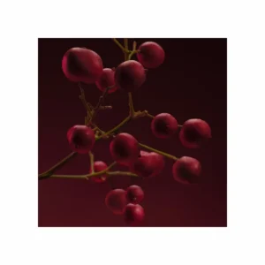 Boss The Scent Elixir for her Parfum Intense - Image 4