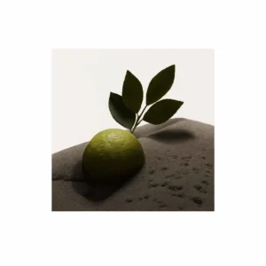 Burberry Hero Eau de Toilette - Image 5