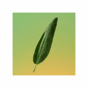 Eternity For Men Eau de Parfum - Image 5