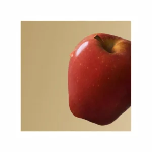 Boss Bottled Eau de Parfum - Image 4