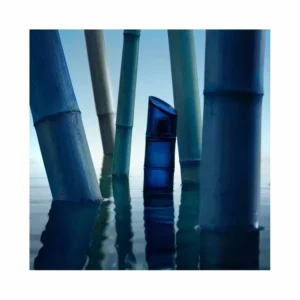 Kenzo Homme Intense Eau de Toilette - Image 5