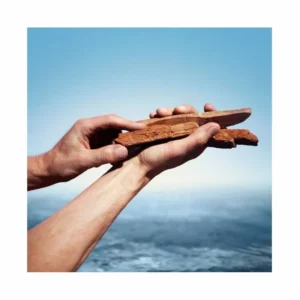 Kenzo Homme Intense Eau de Toilette - Image 2