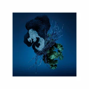 Bad Boy Cobalt Eau de Parfum Électrique - Image 3