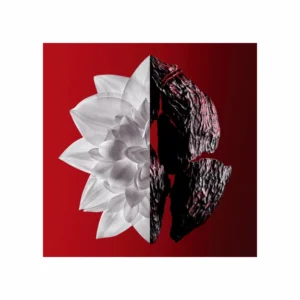 L’Interdit by Givenchy Eau de Parfum Rouge Ultime - Image 4