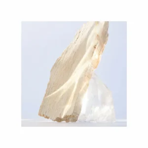 Bvlgari Omnia Crystalline Eau de Toilette - Image 2