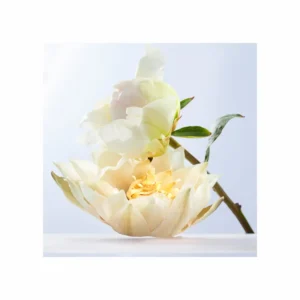 Bvlgari Omnia Crystalline Eau de Toilette - Image 4