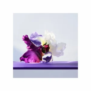 Bvlgari Omnia Amethyste Eau de Toilette - Image 2