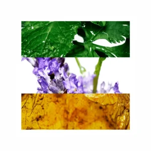 Cool Water Eau de Toilette - Image 3