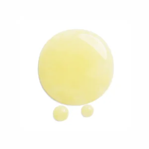 Shiseido Benefiance Wrinkle Smoothing Contour Serum - Image 2