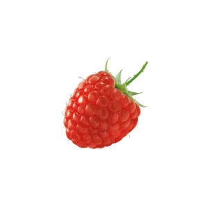 Naturalium Shower Gel Raspberry - Image 2